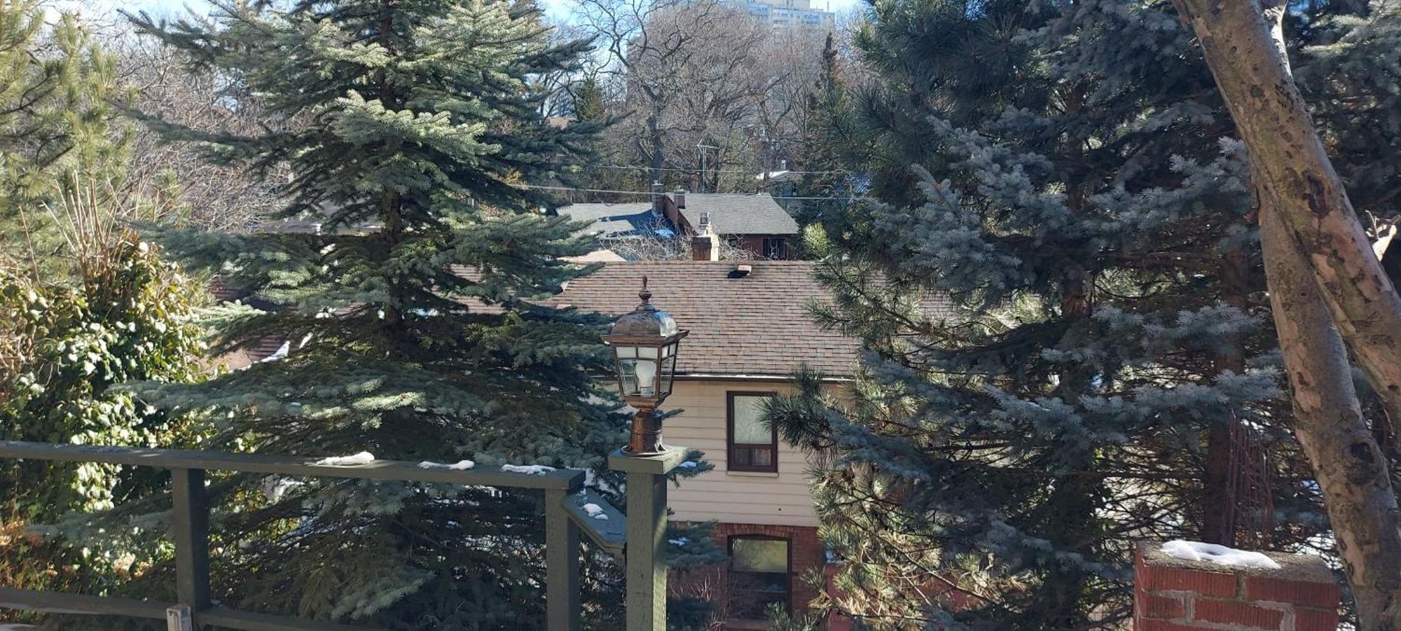 High Park Single Room With Personal Washroom And Kitchen Τορόντο Εξωτερικό φωτογραφία
